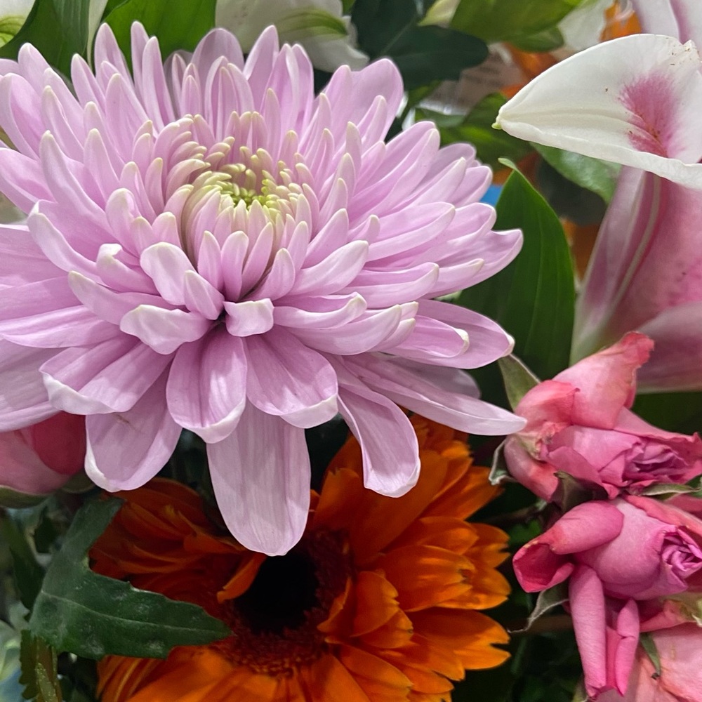 Meet your Posher, Posh